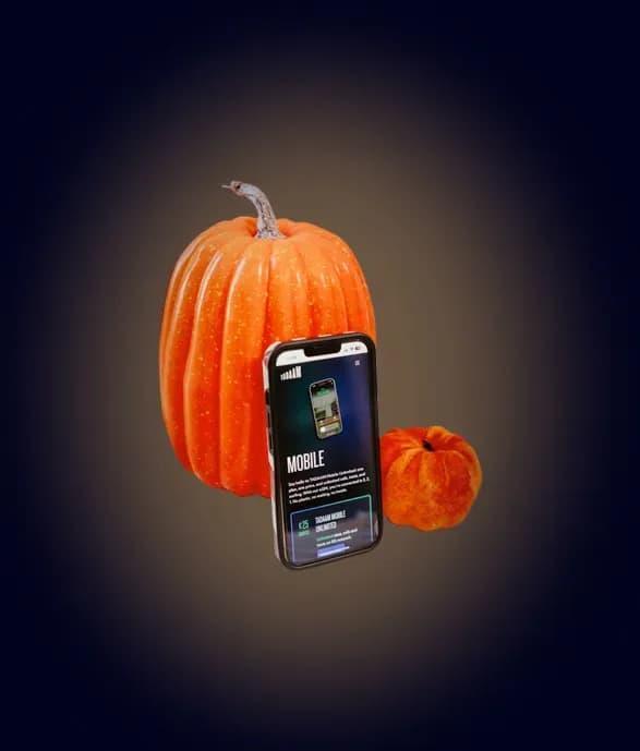 Smartphone met twee pompoenen op een donkere achtergrond.